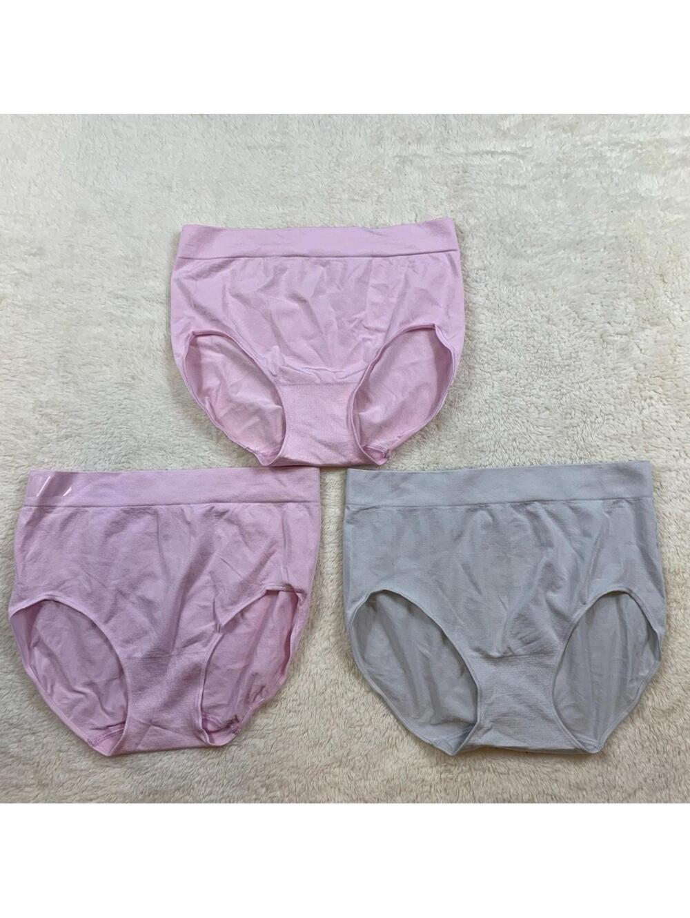 Carole Hochman Women’s Underwear Size Medium 3 Pair Brief Panties Pink Gray